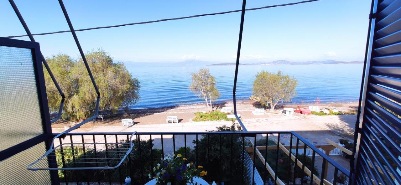 Vikos Beach Apartments Paralia Irion Eksteriør billede