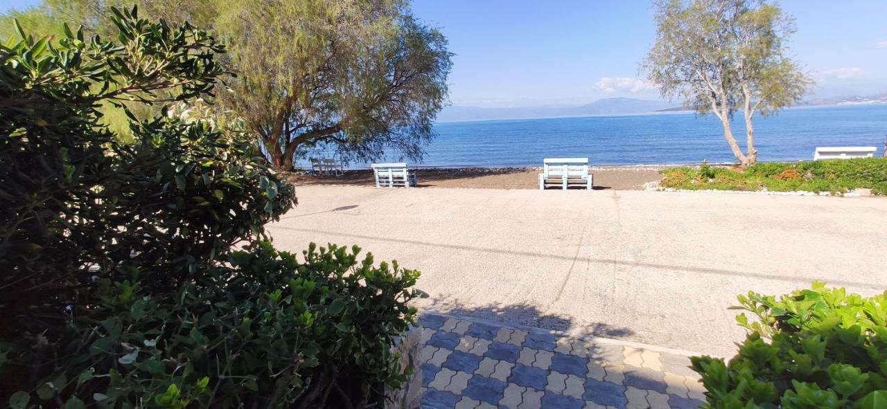Vikos Beach Apartments Paralia Irion Eksteriør billede
