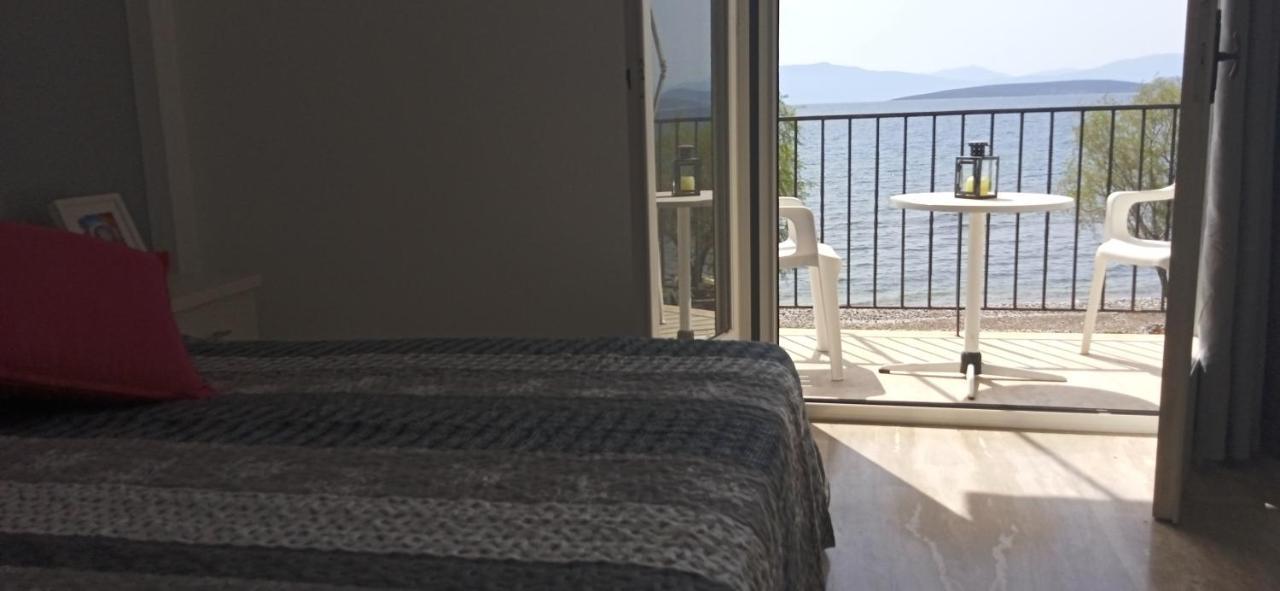Vikos Beach Apartments Paralia Irion Eksteriør billede