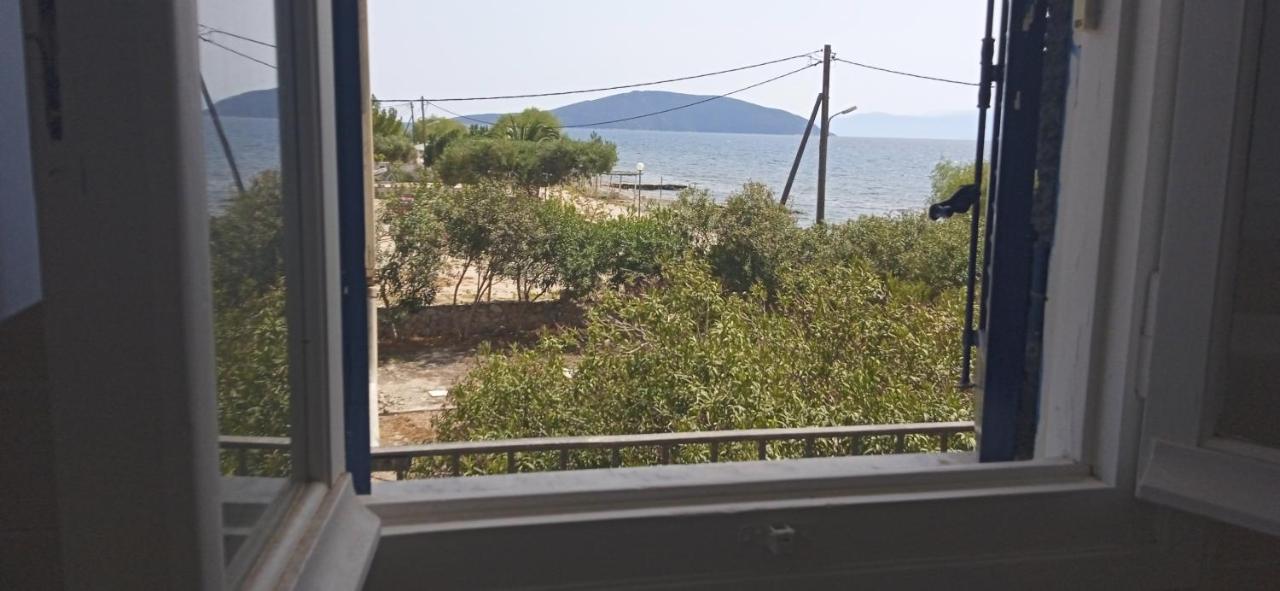 Vikos Beach Apartments Paralia Irion Eksteriør billede