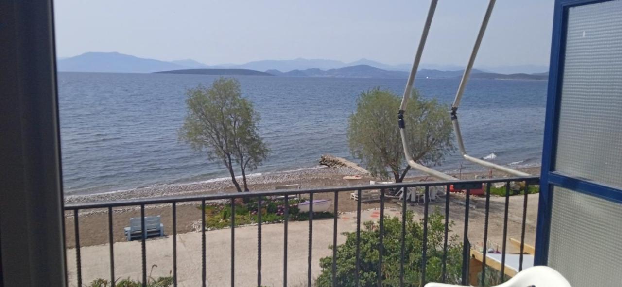 Vikos Beach Apartments Paralia Irion Eksteriør billede