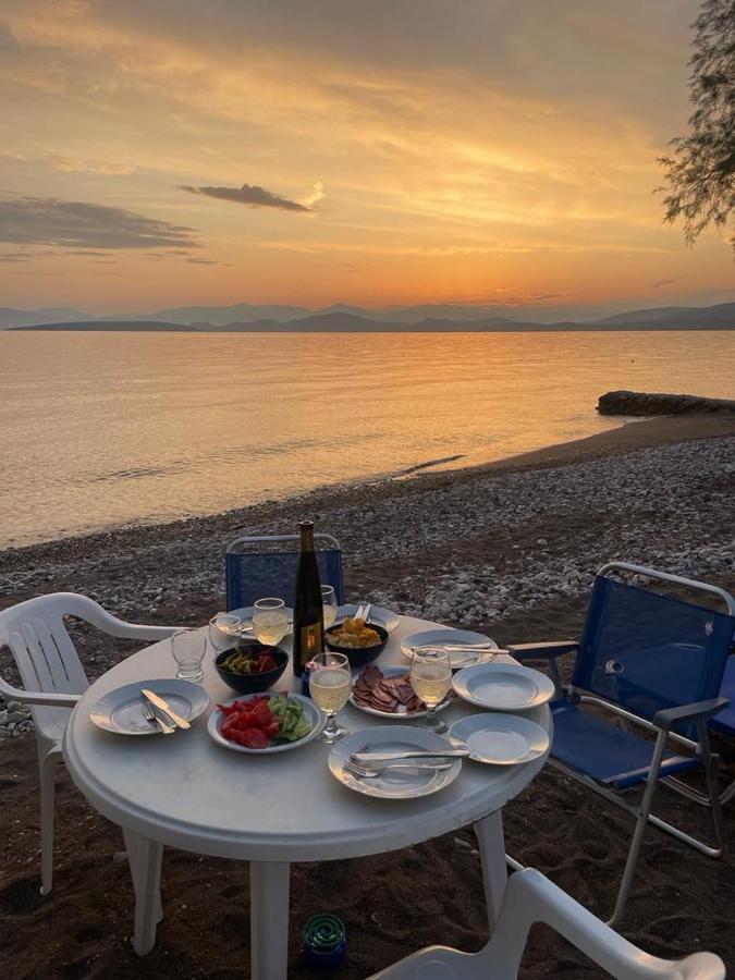 Vikos Beach Apartments Paralia Irion Eksteriør billede